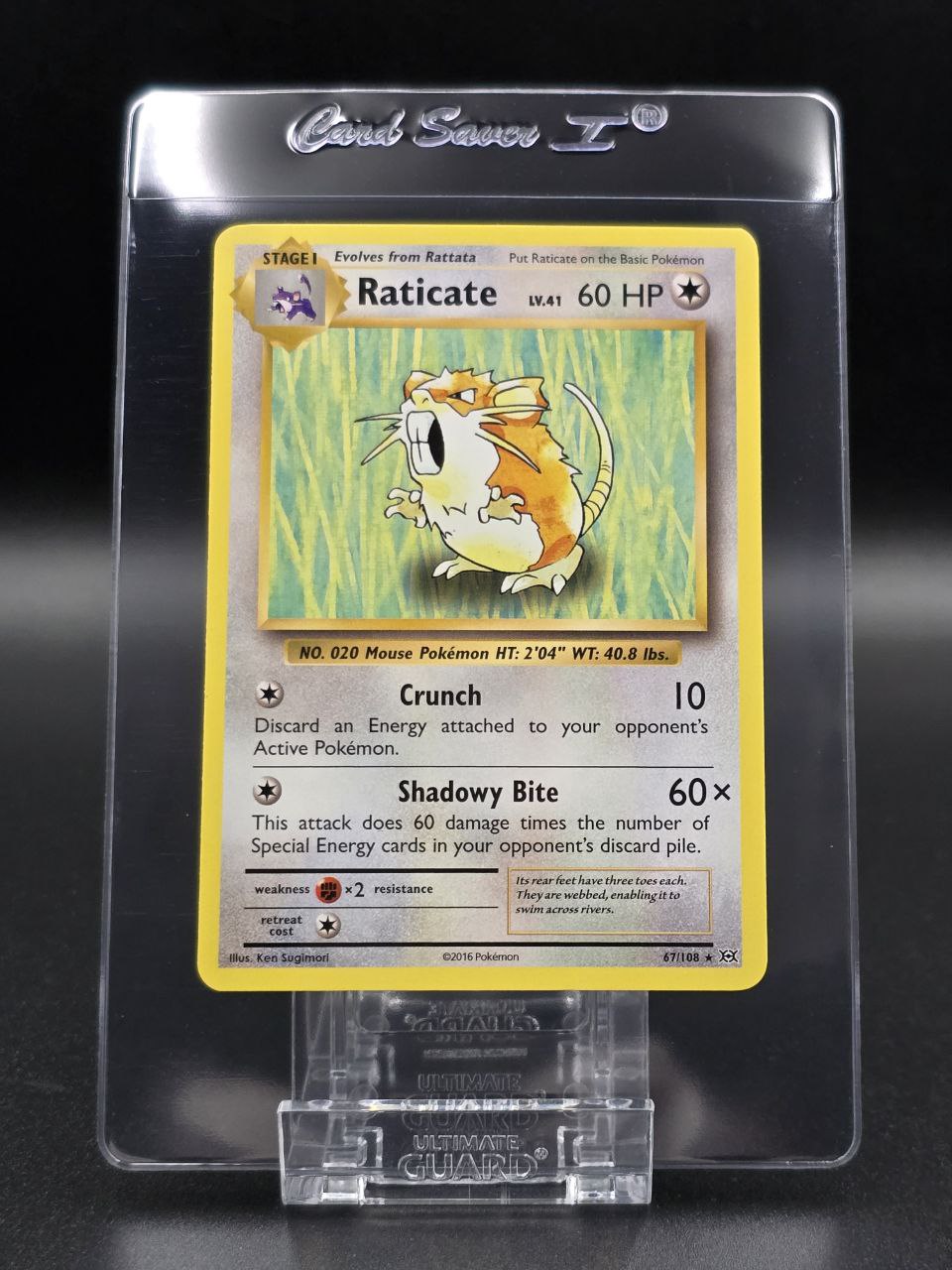 Raticate #67 XY Evolutions NM / 🇬🇧