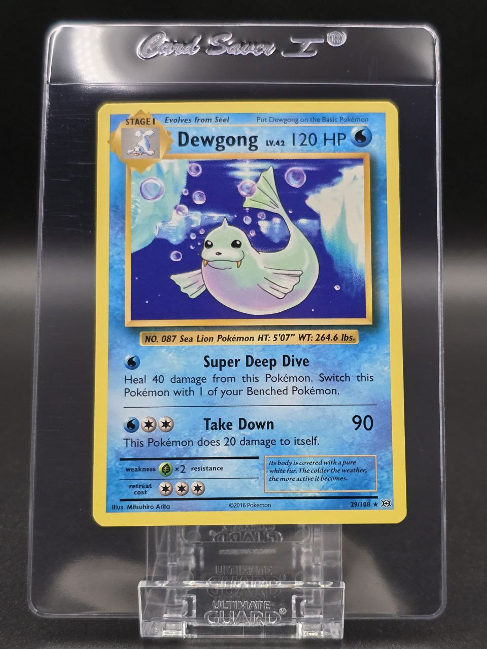 Dewgong #29 XY Evolutions NM / 🇬🇧