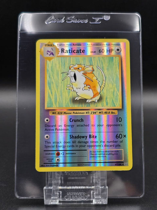 Raticate [Reverse Holo] #67 XY Evolutions NM / 🇬🇧