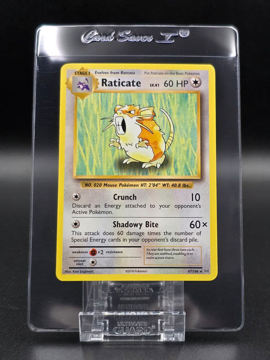 Raticate #67 XY Evolutions NM / 🇬🇧