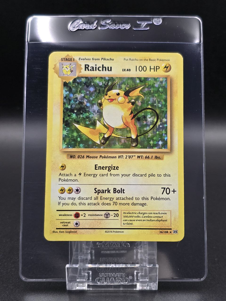 Raichu [Holo] #36 XY Evolutions NM / 🇬🇧