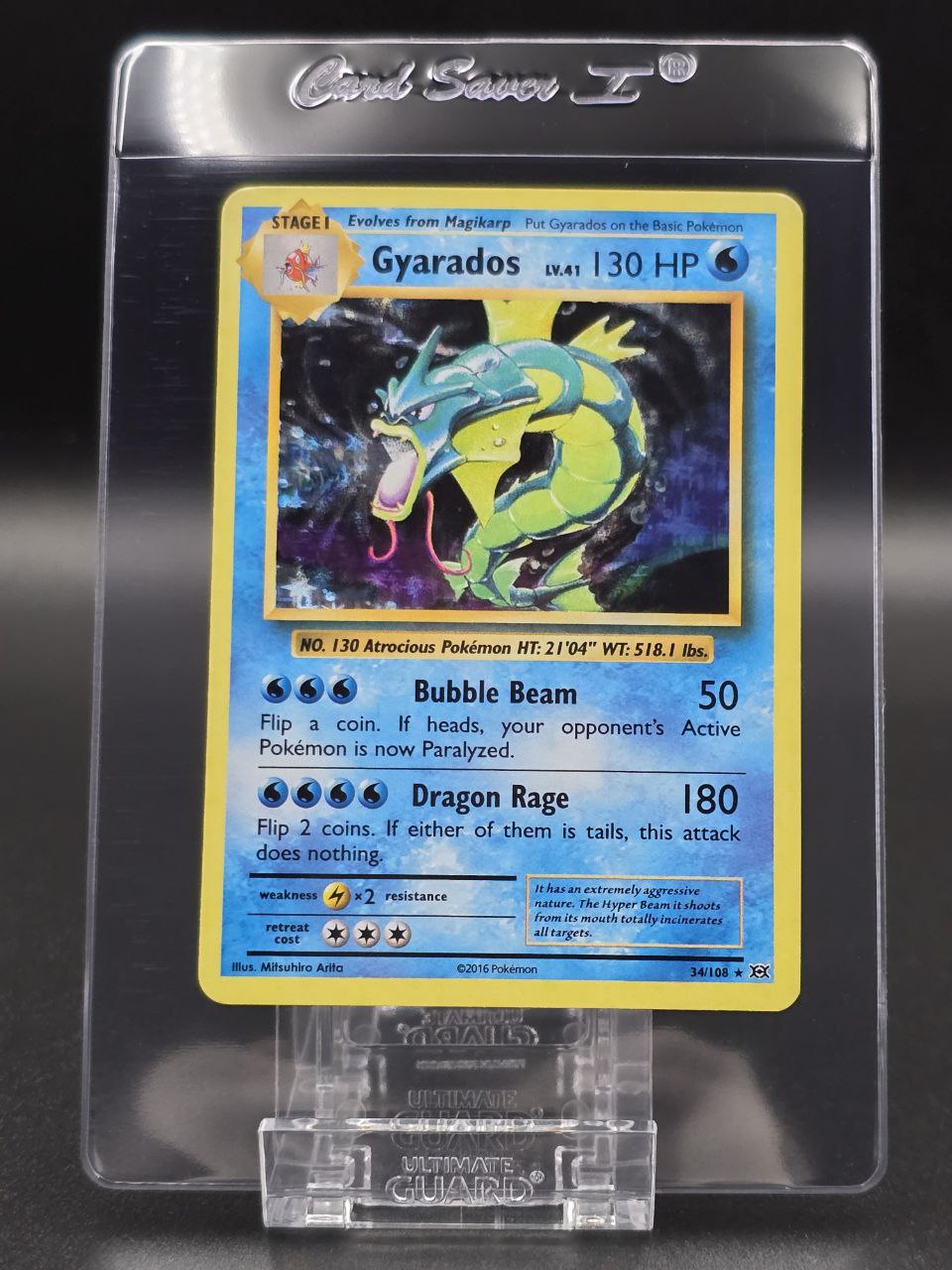 Gyarados [Holo] #34 XY Evolutions NM / 🇬🇧