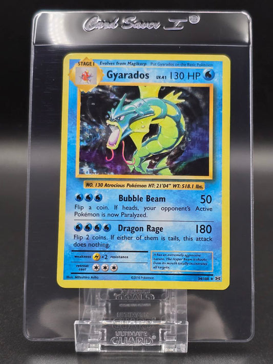 Gyarados [Holo] #34 XY Evolutions NM / 🇬🇧