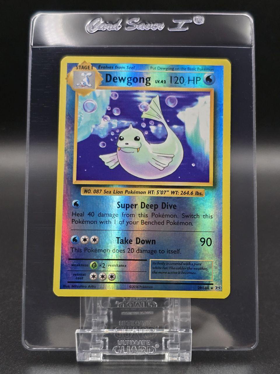 Dewgong [Reverse Holo] #29 XY Evolutions NM / 🇬🇧