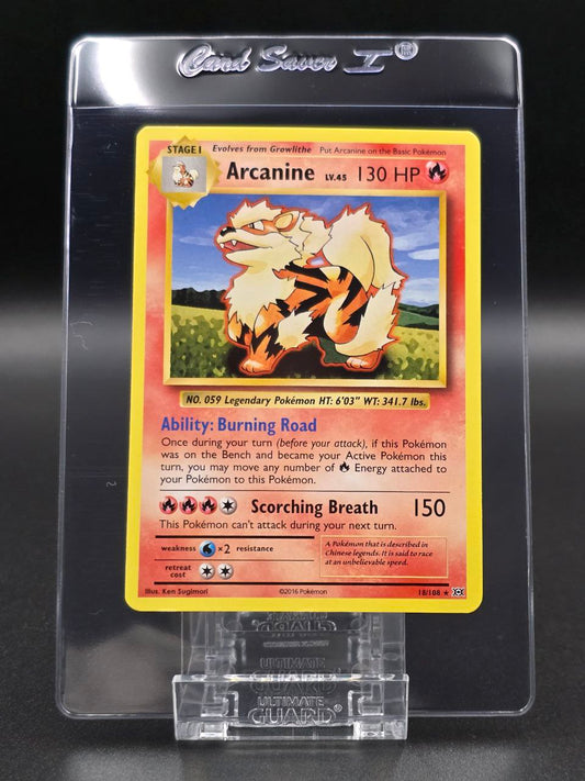 Arcanine #18 XY Evolutions NM / 🇬🇧