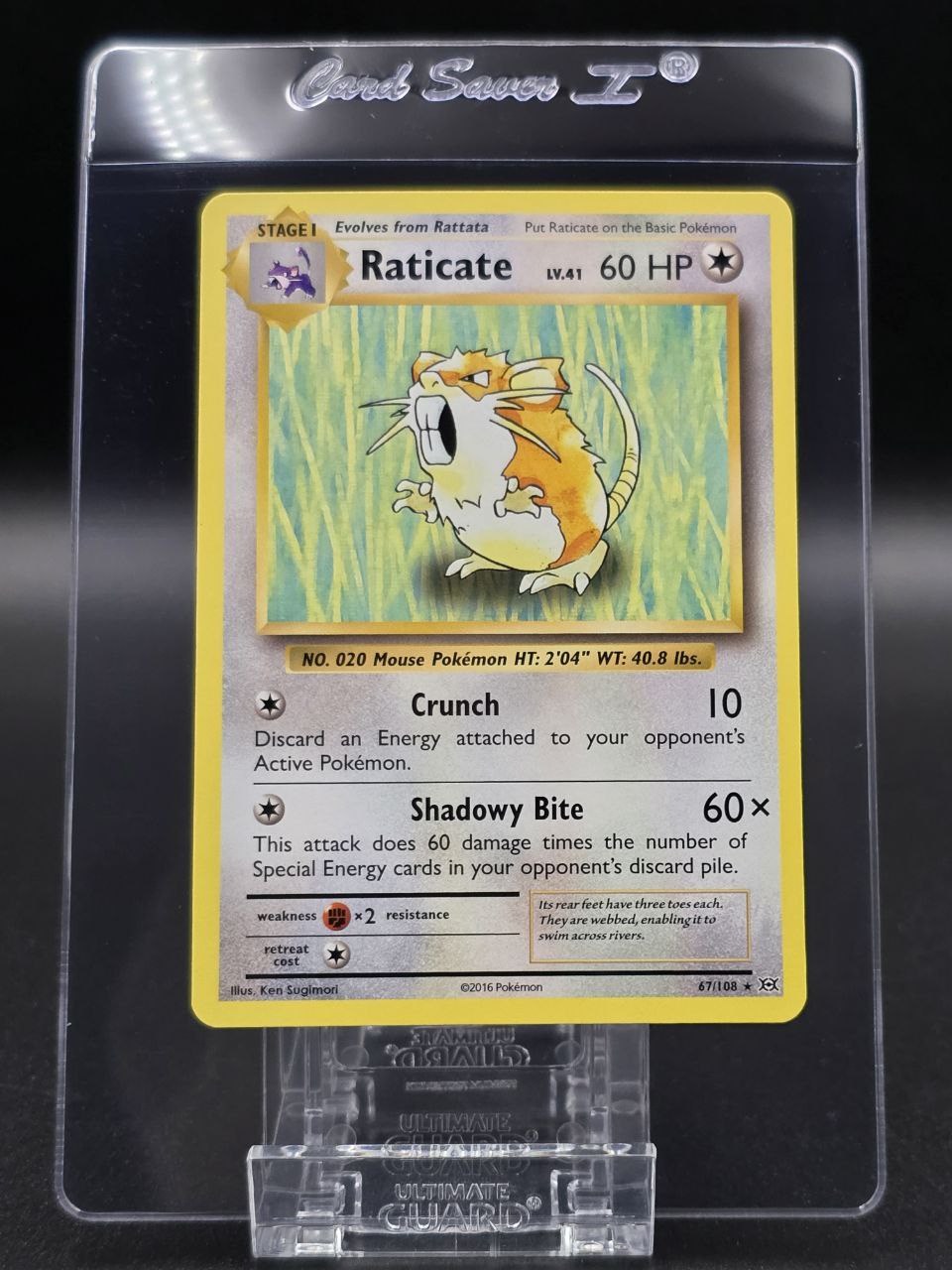 Raticate #67 XY Evolutions NM / 🇬🇧