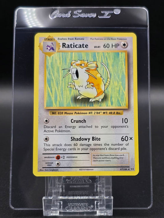 Raticate #67 XY Evolutions NM / 🇬🇧